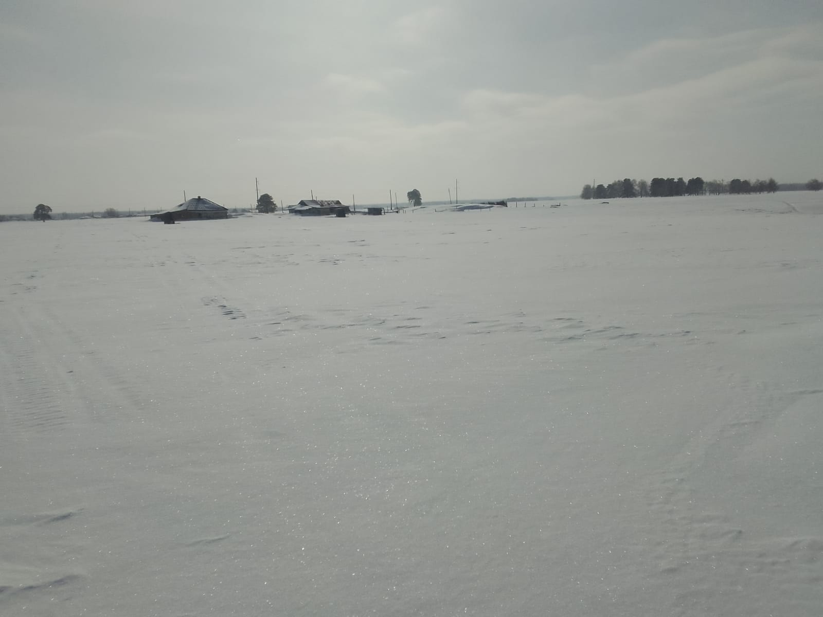 img-2