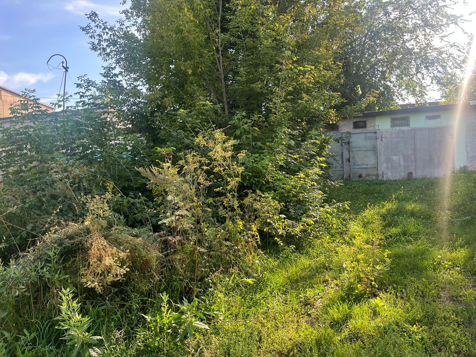 img-2