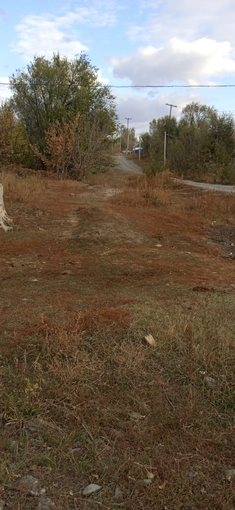 img-1