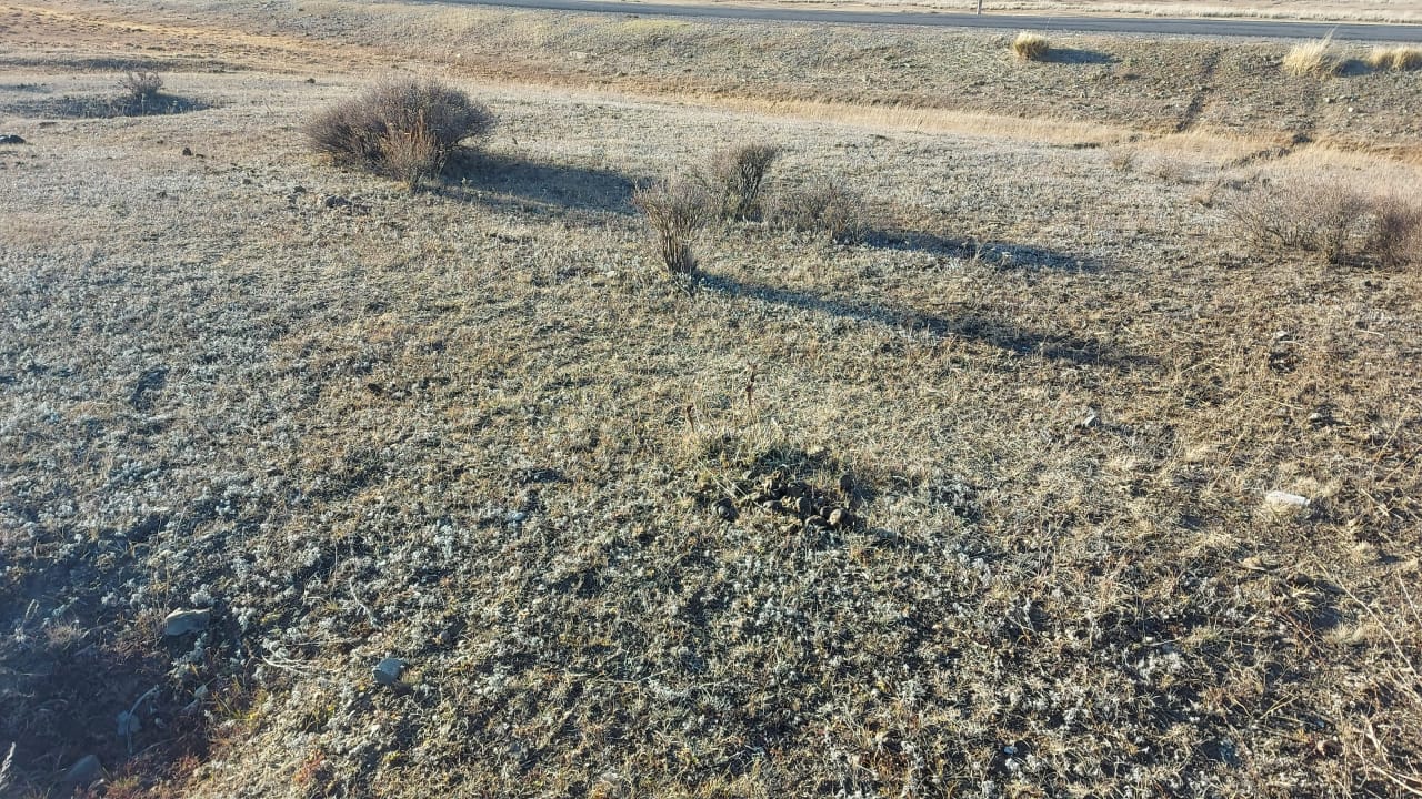 img-0