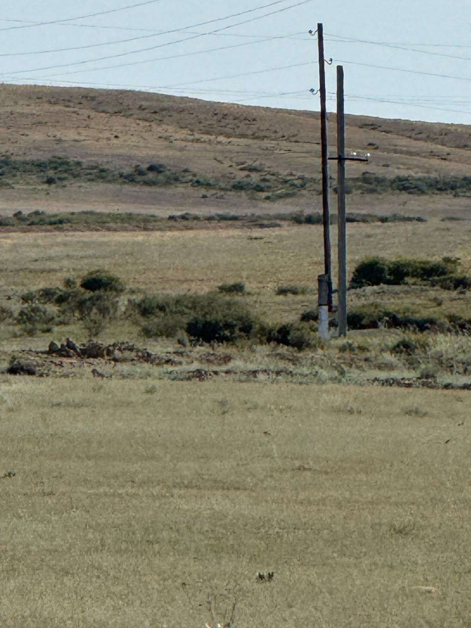 img-2