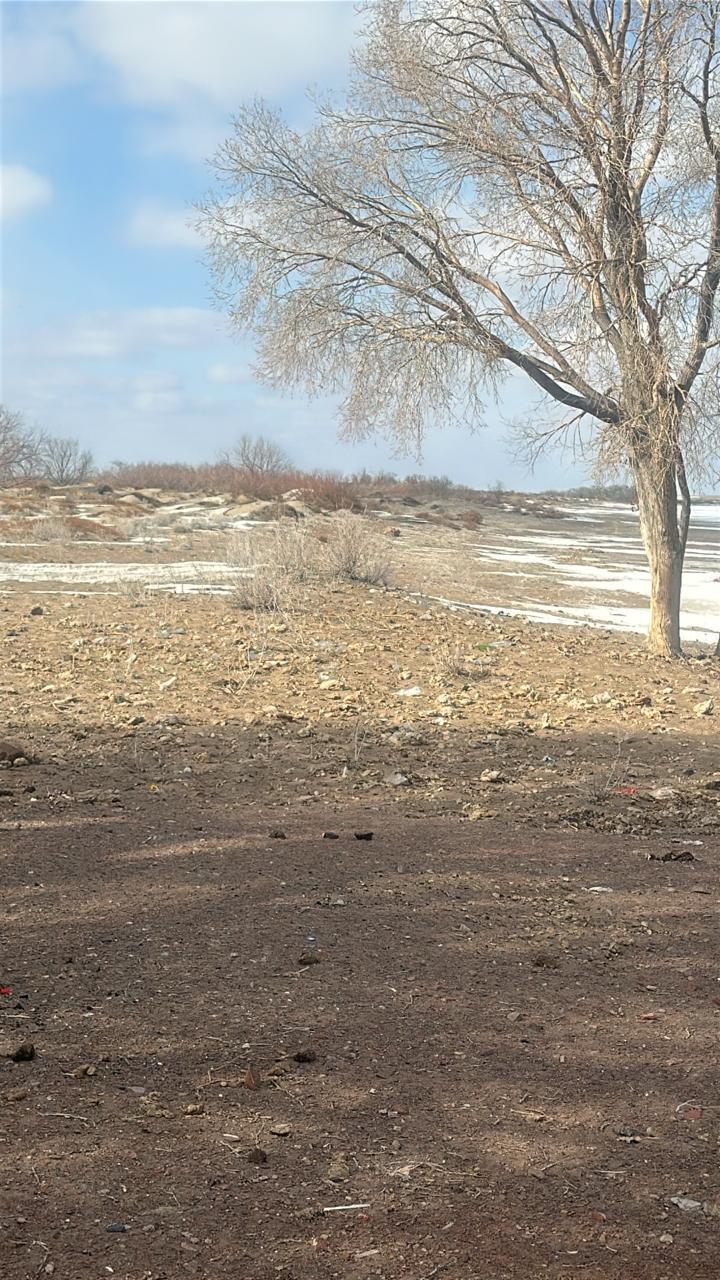 img-1