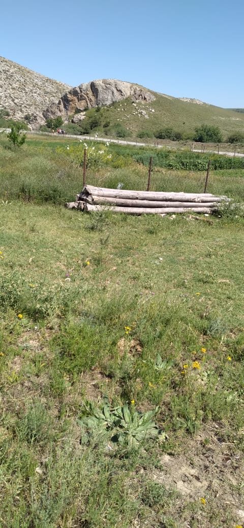 img-0