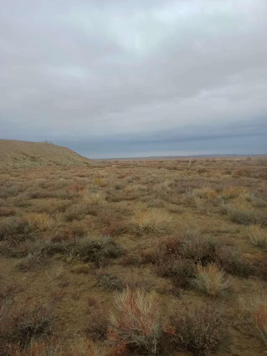 img-2