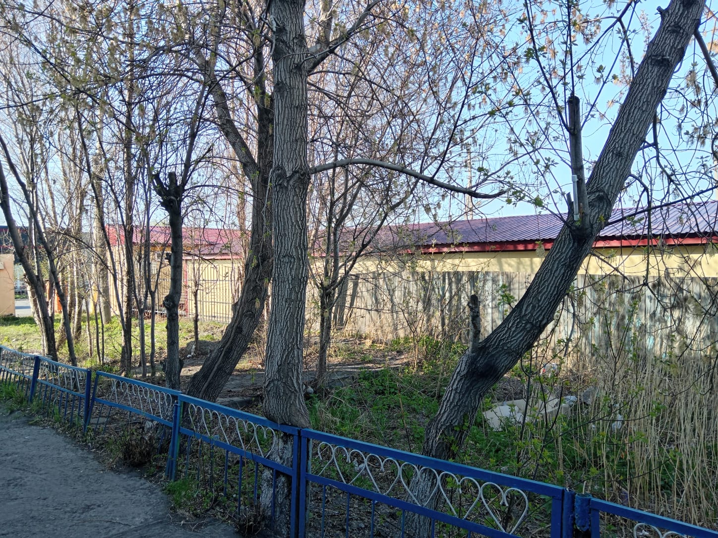 img-2