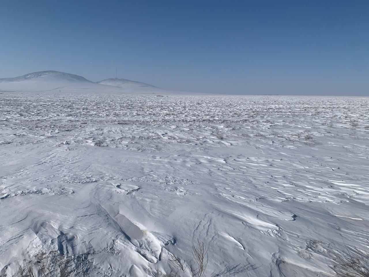 img-2