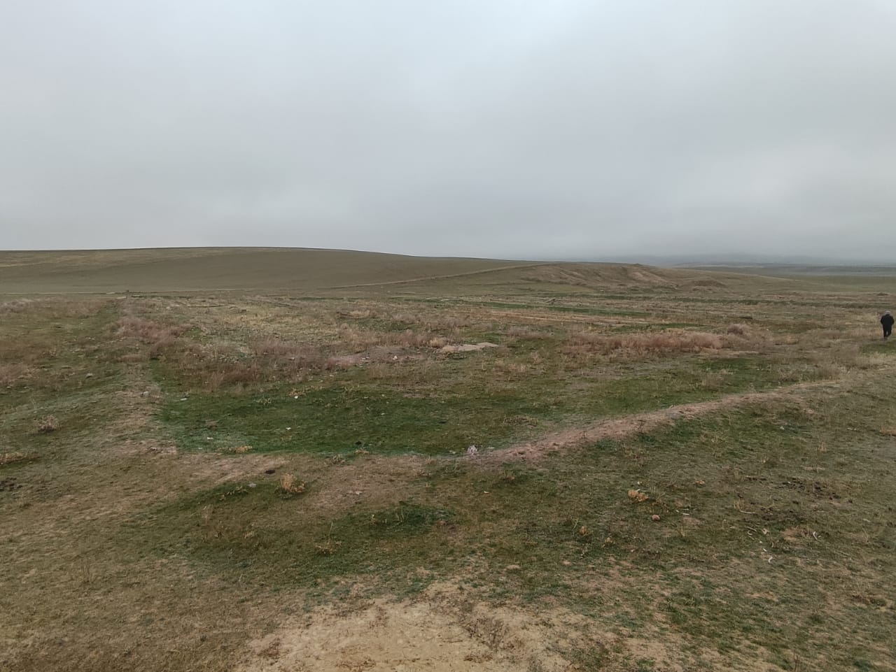 img-2