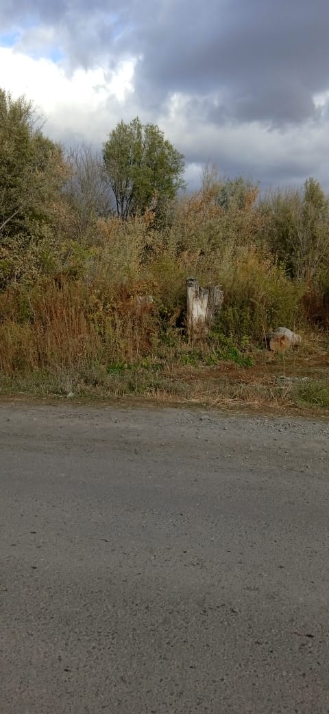 img-3