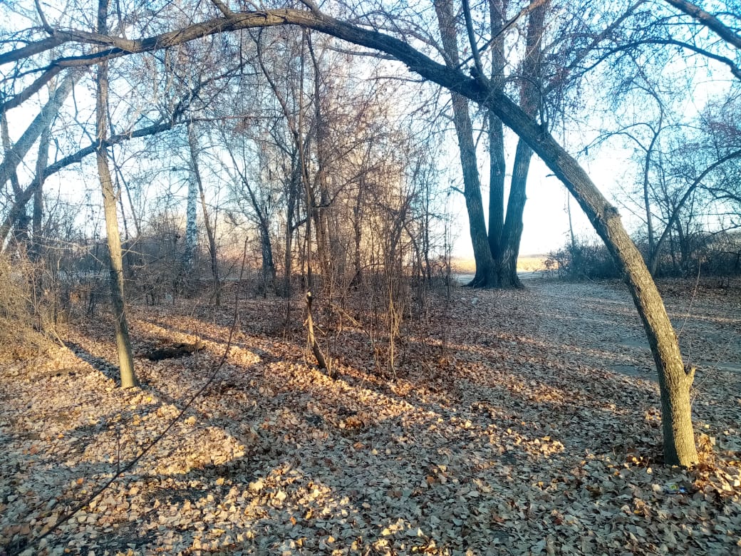 img-2