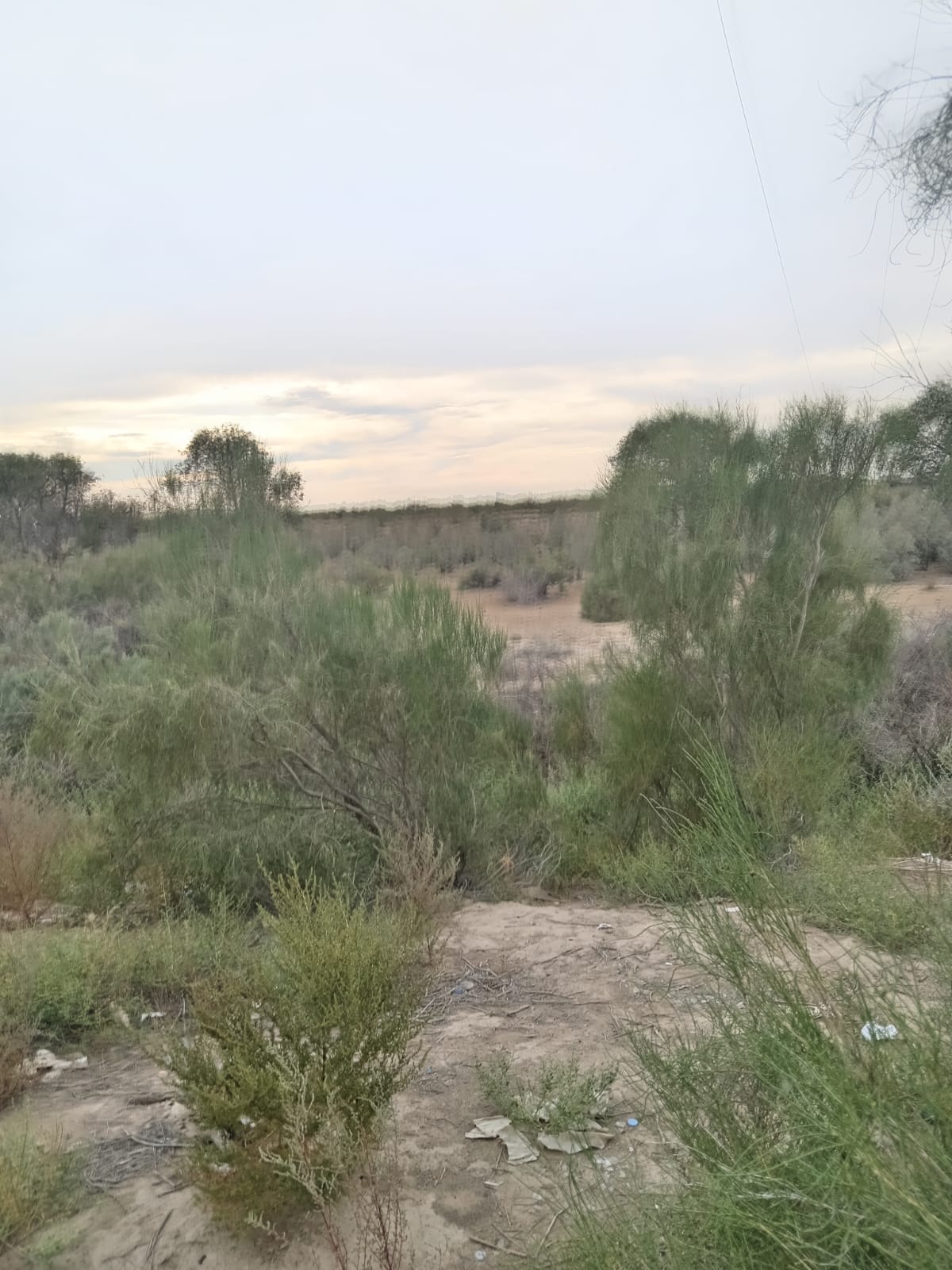 img-1
