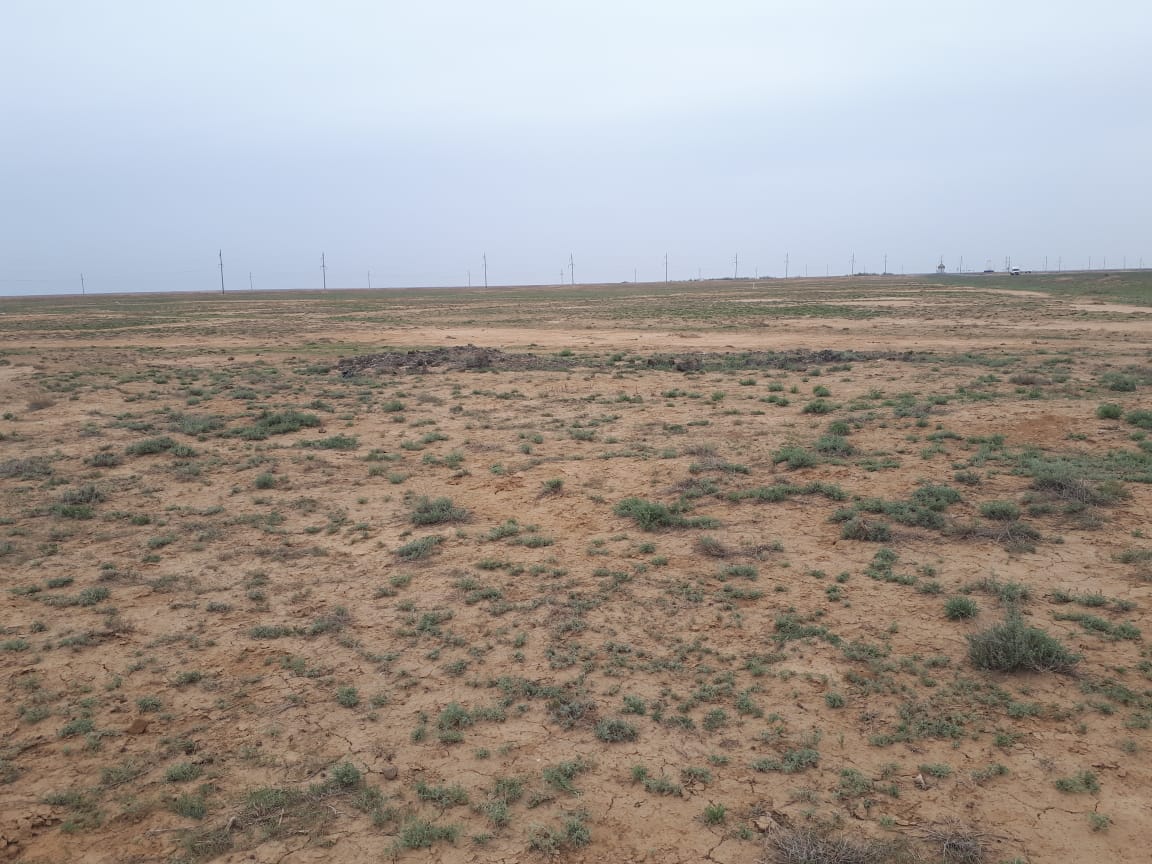 img-3