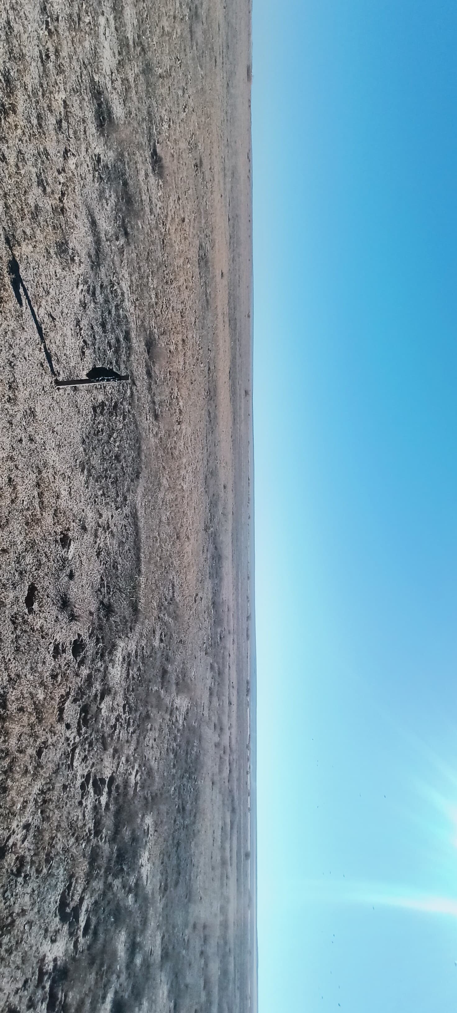 img-0