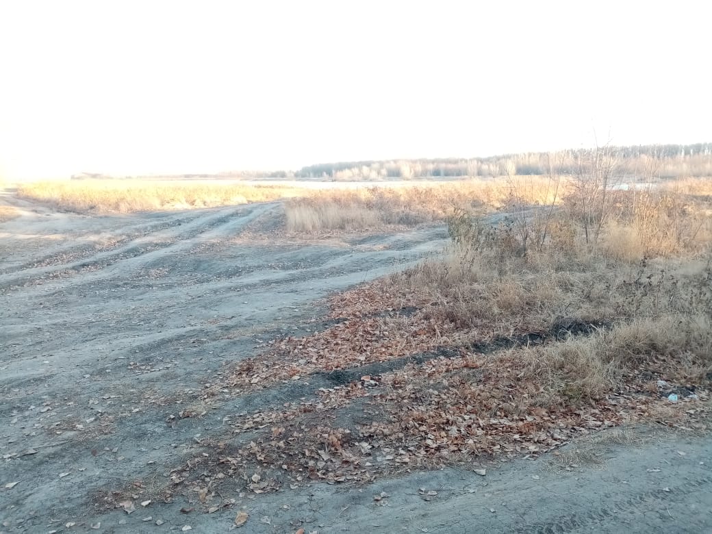 img-4