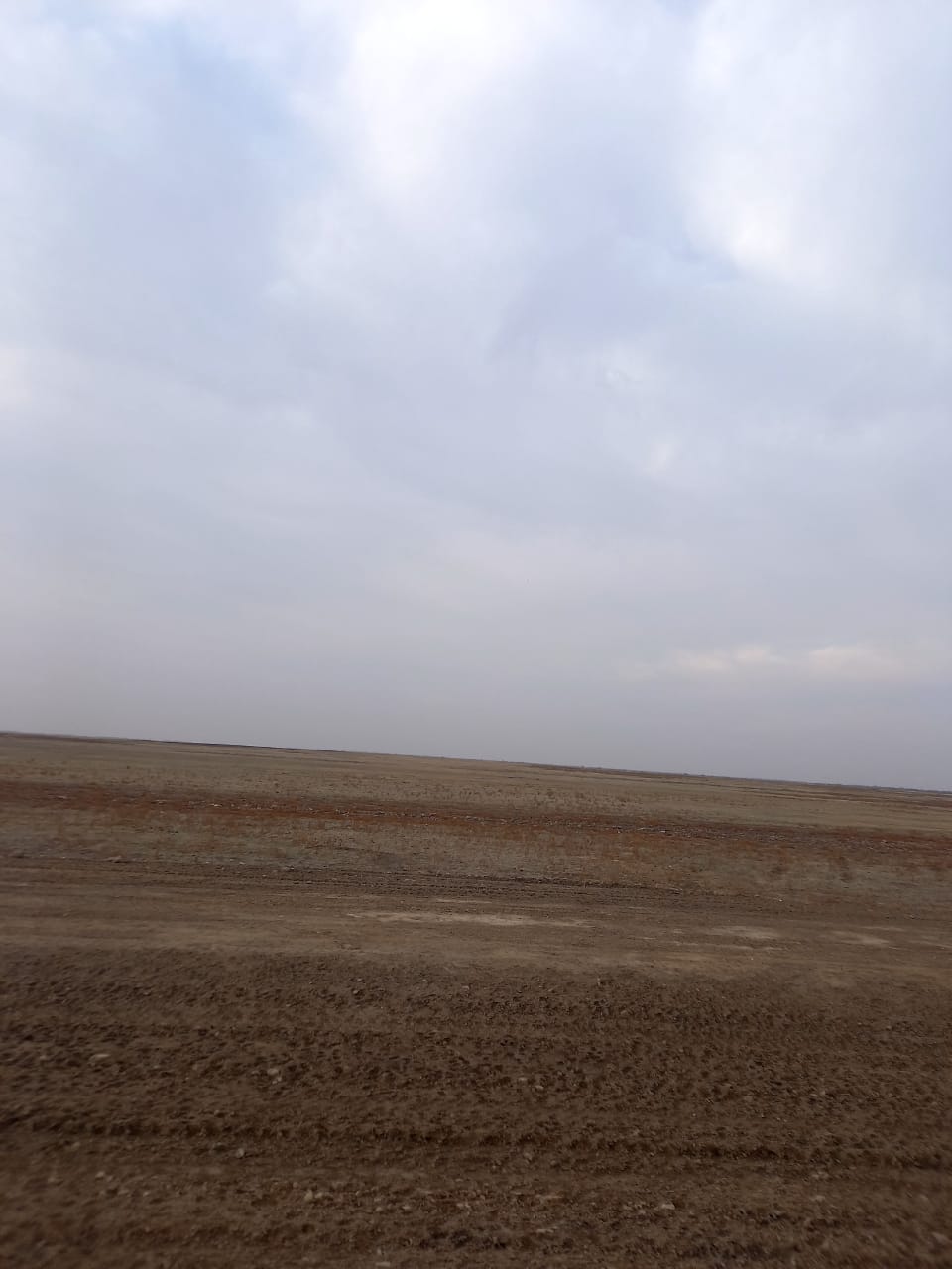 img-3