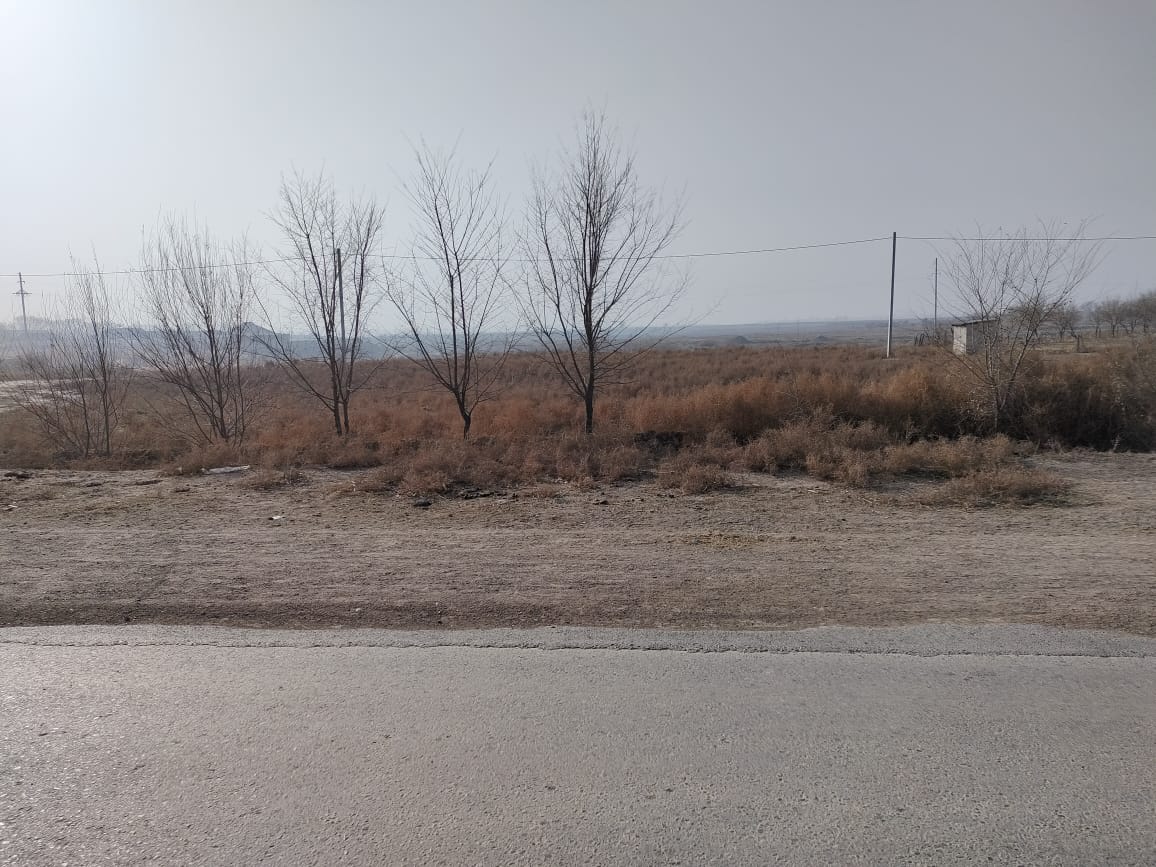 img-3