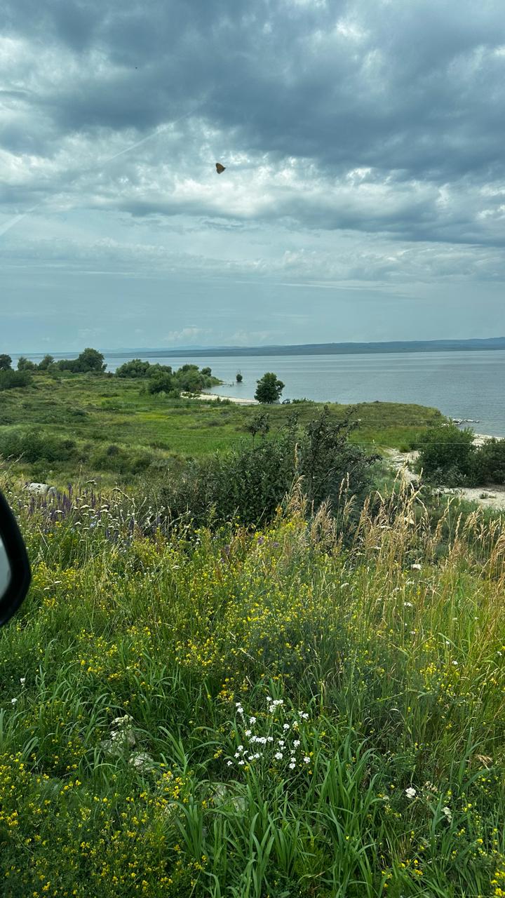 img-2
