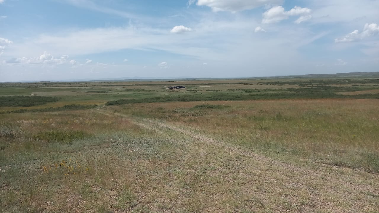 img-2