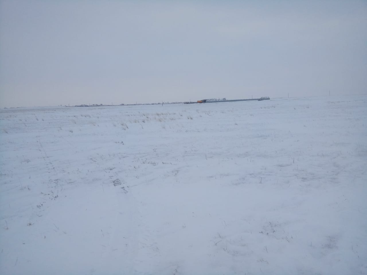 img-2