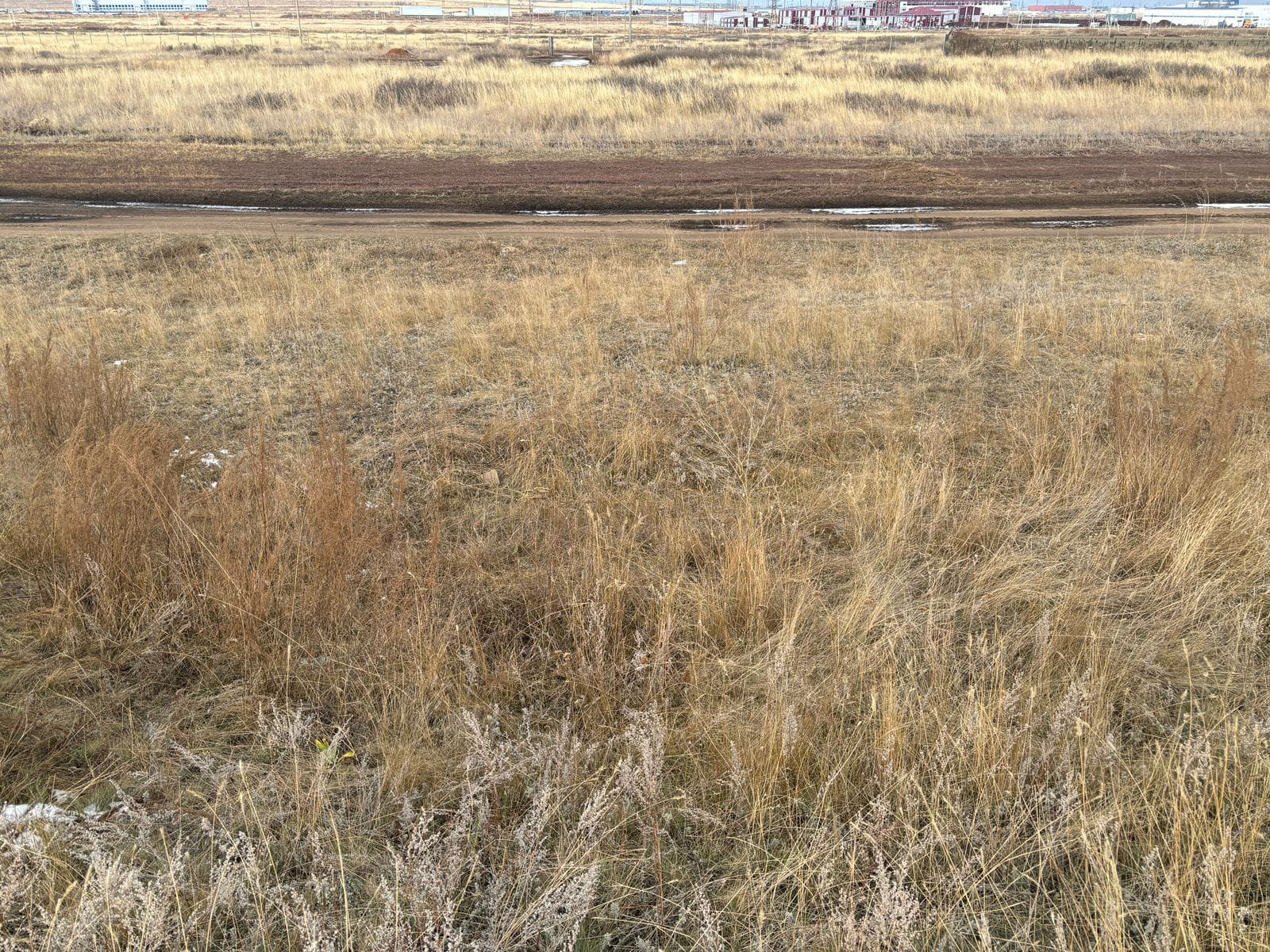 img-1