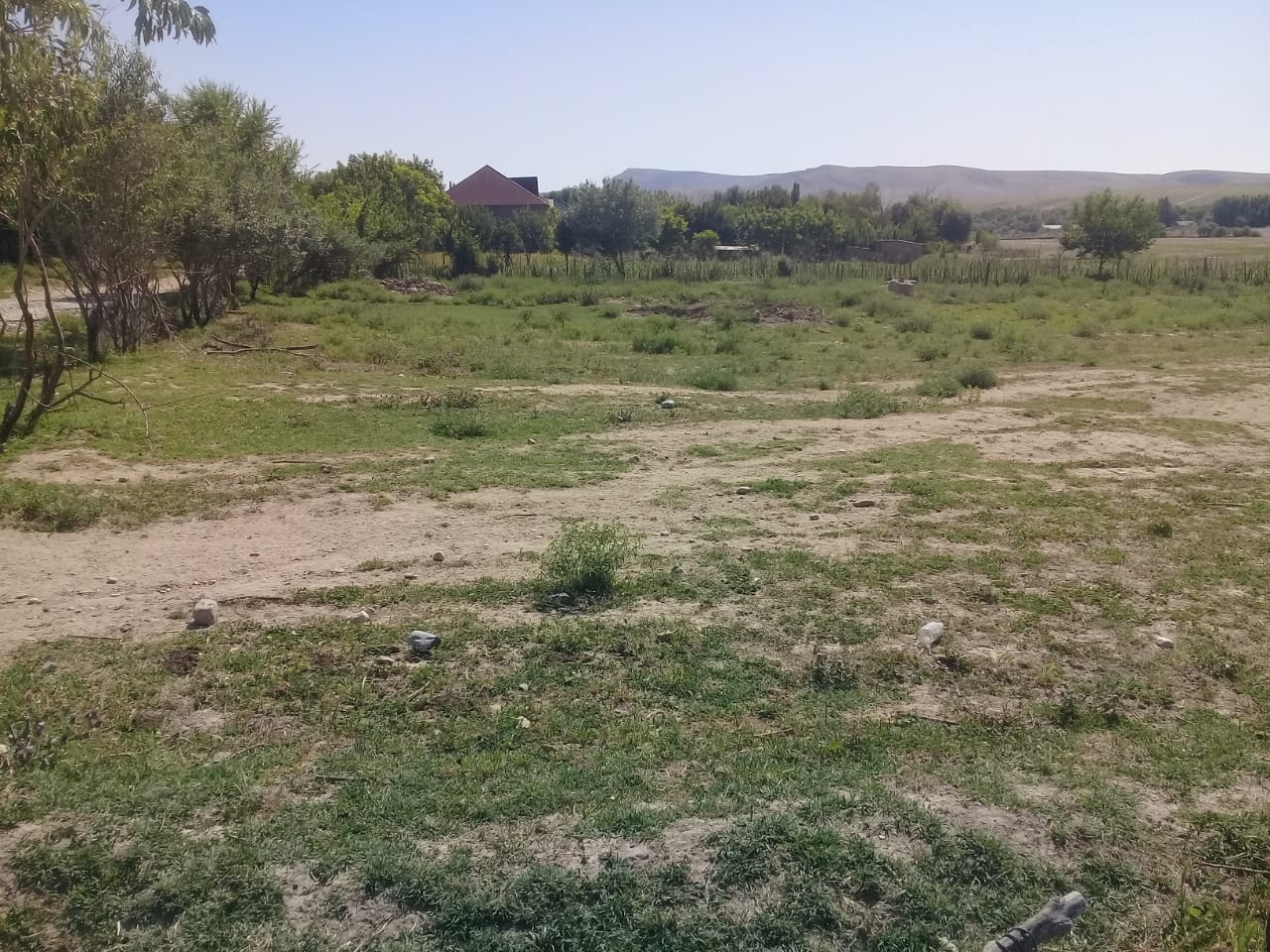img-3