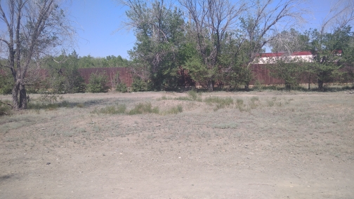 img-2
