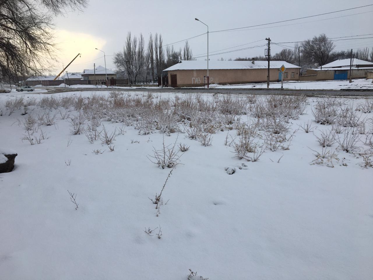img-0
