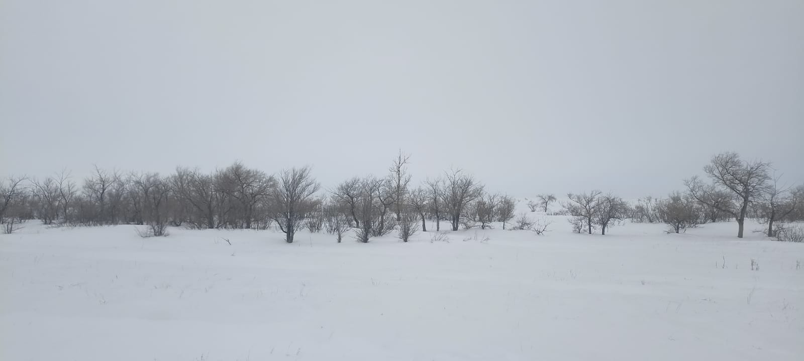 img-2
