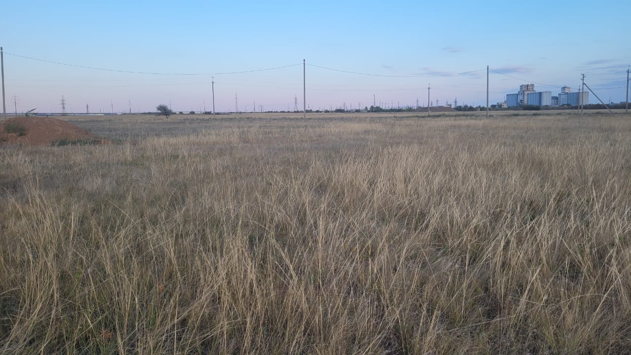 img-4