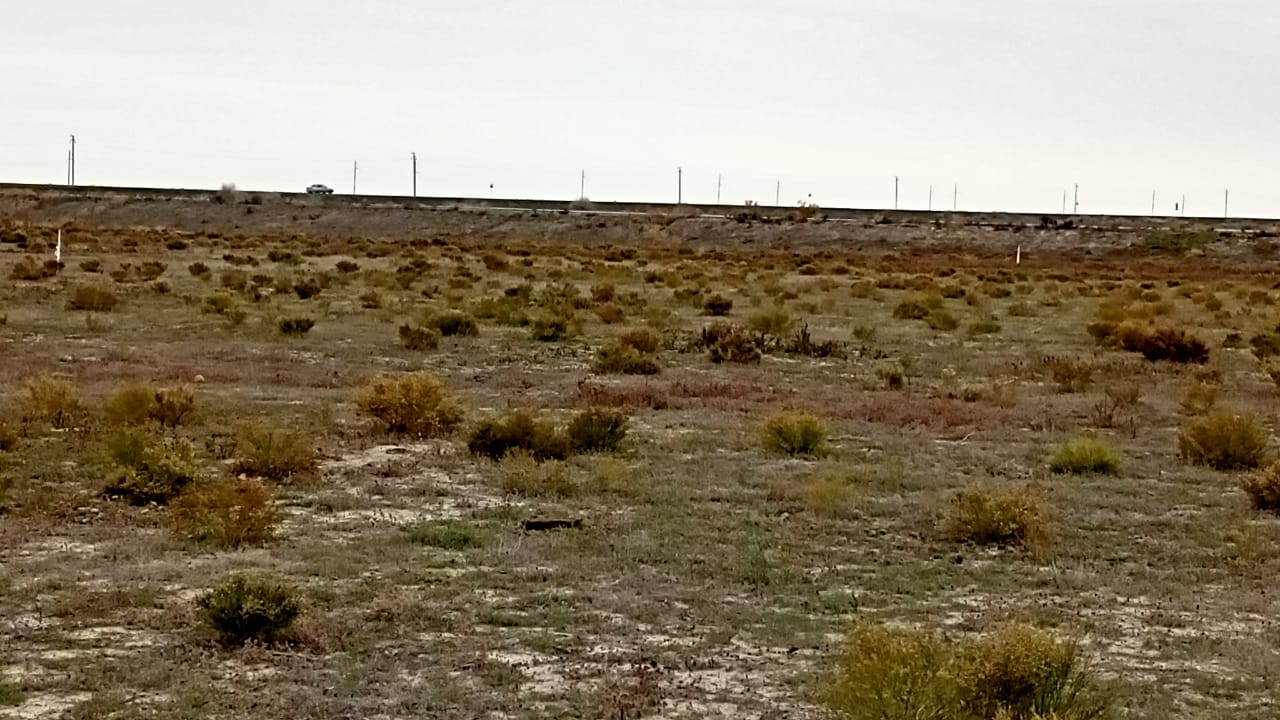 img-2