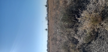 img-4