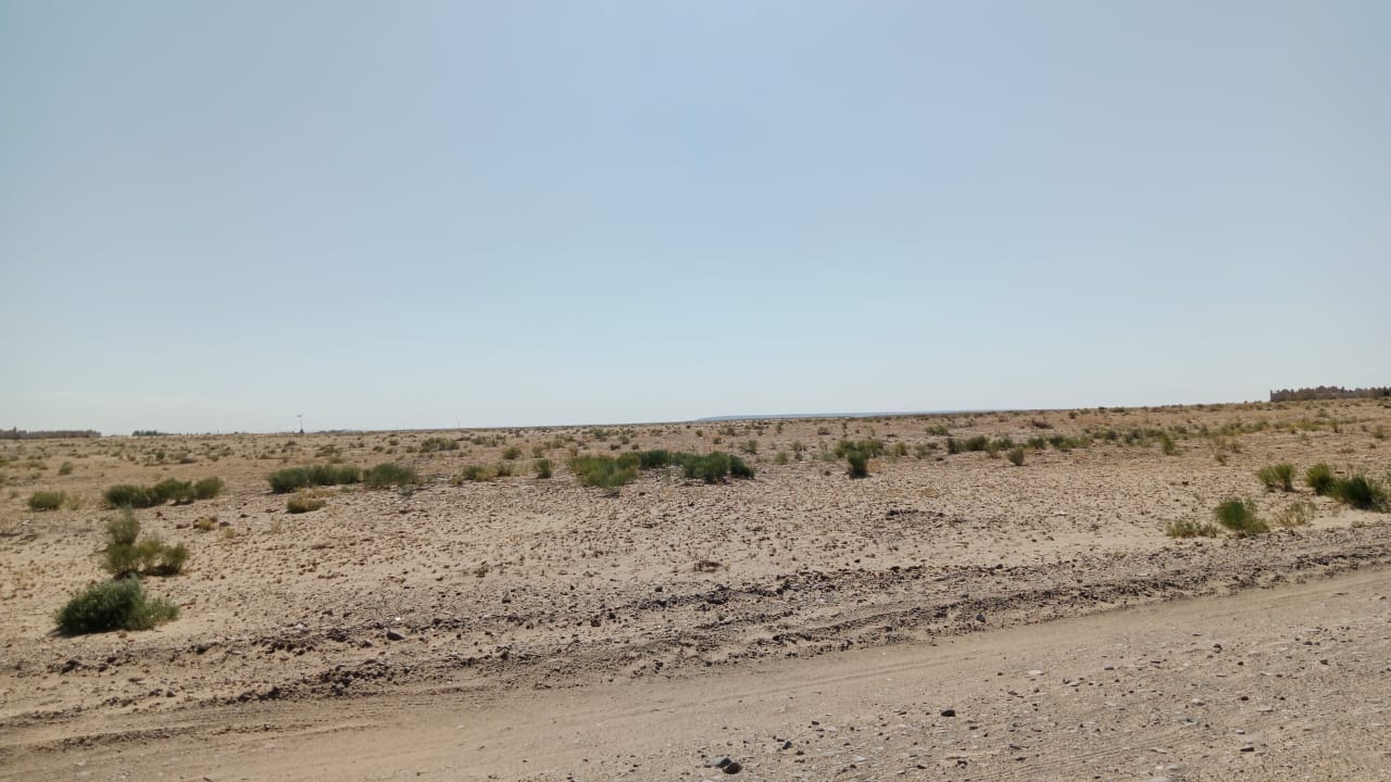 img-0