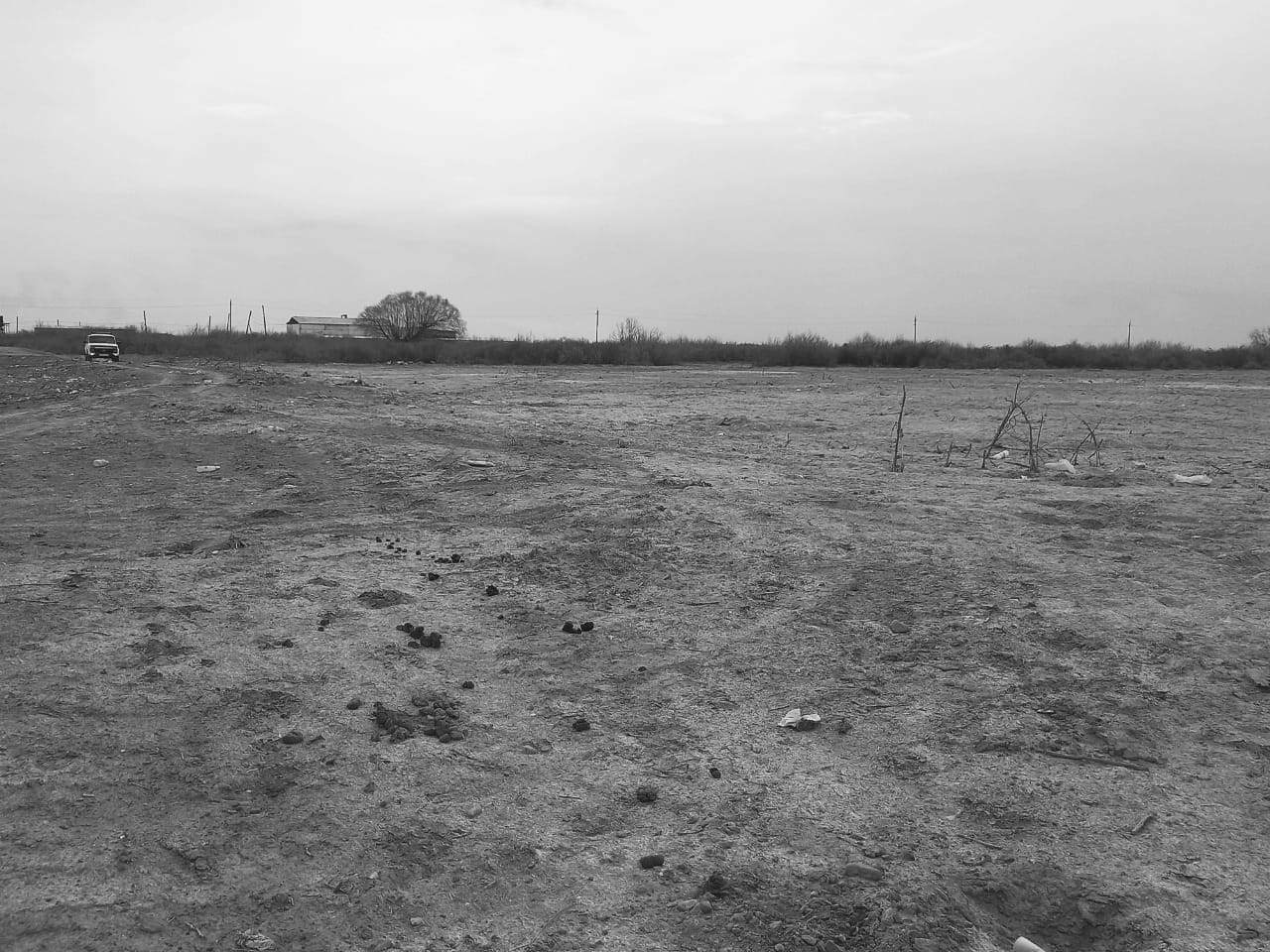 img-0
