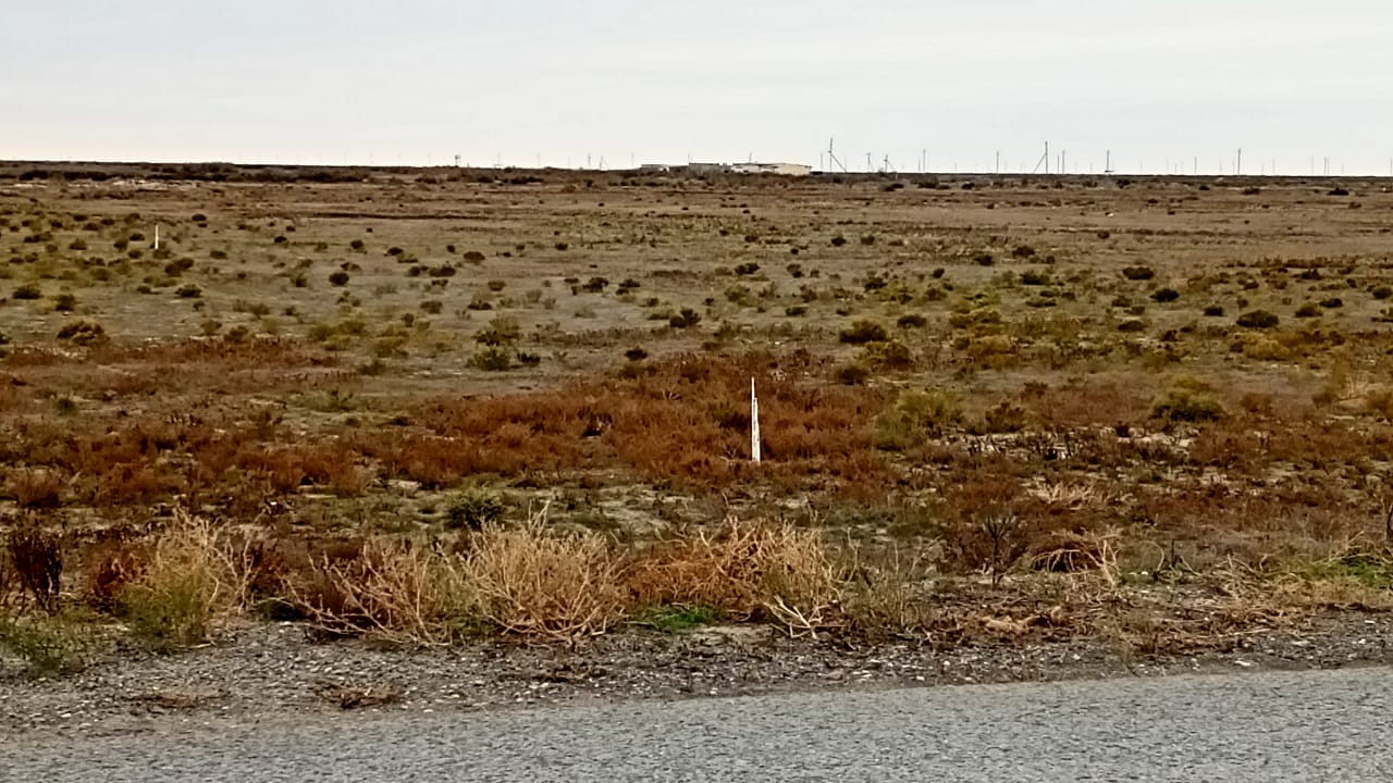 img-3