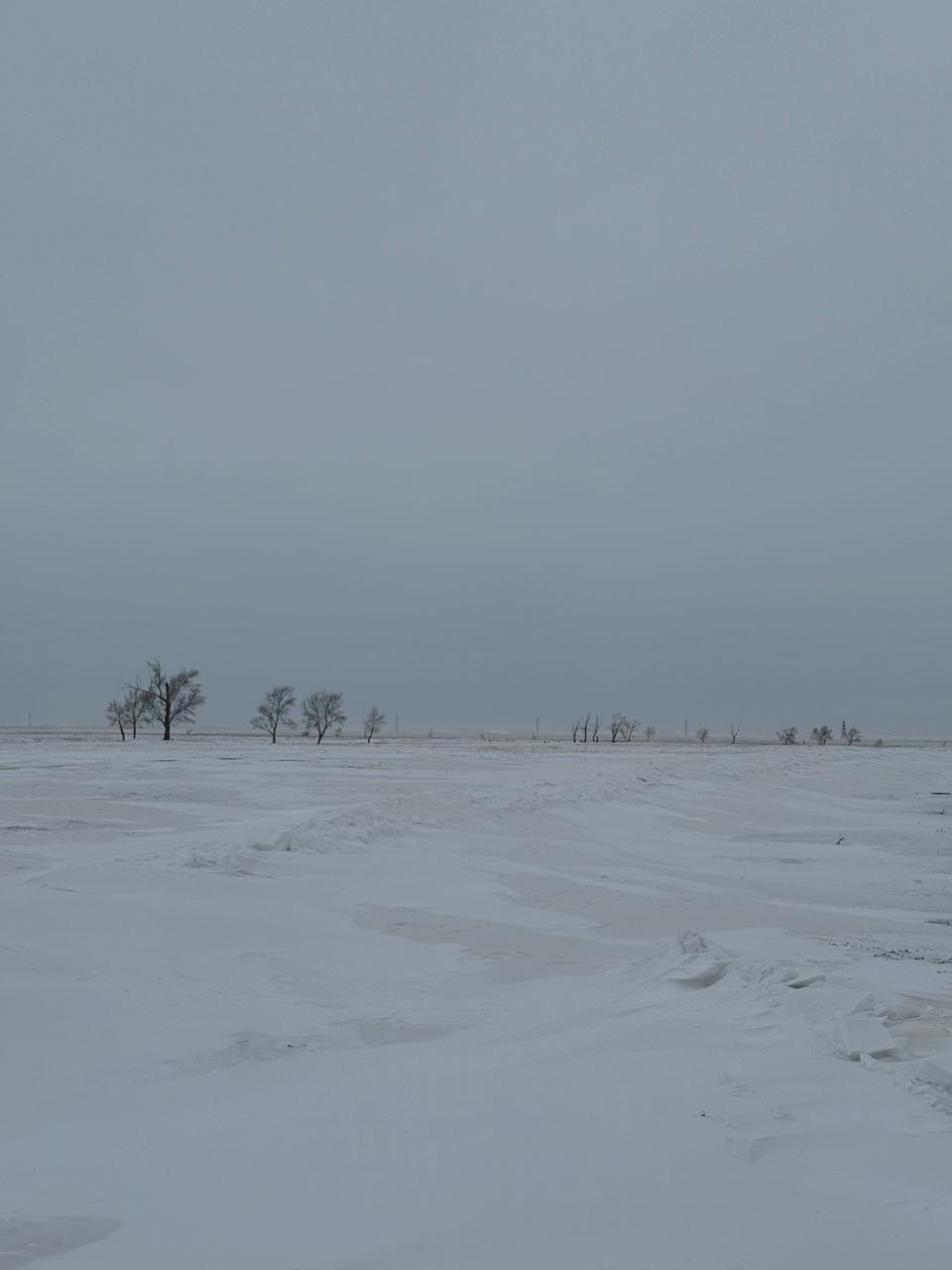img-2