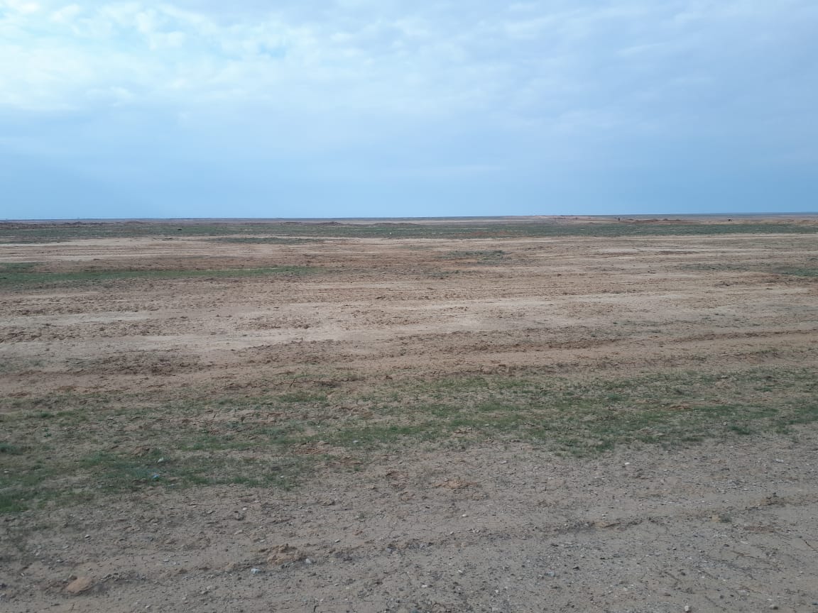 img-3