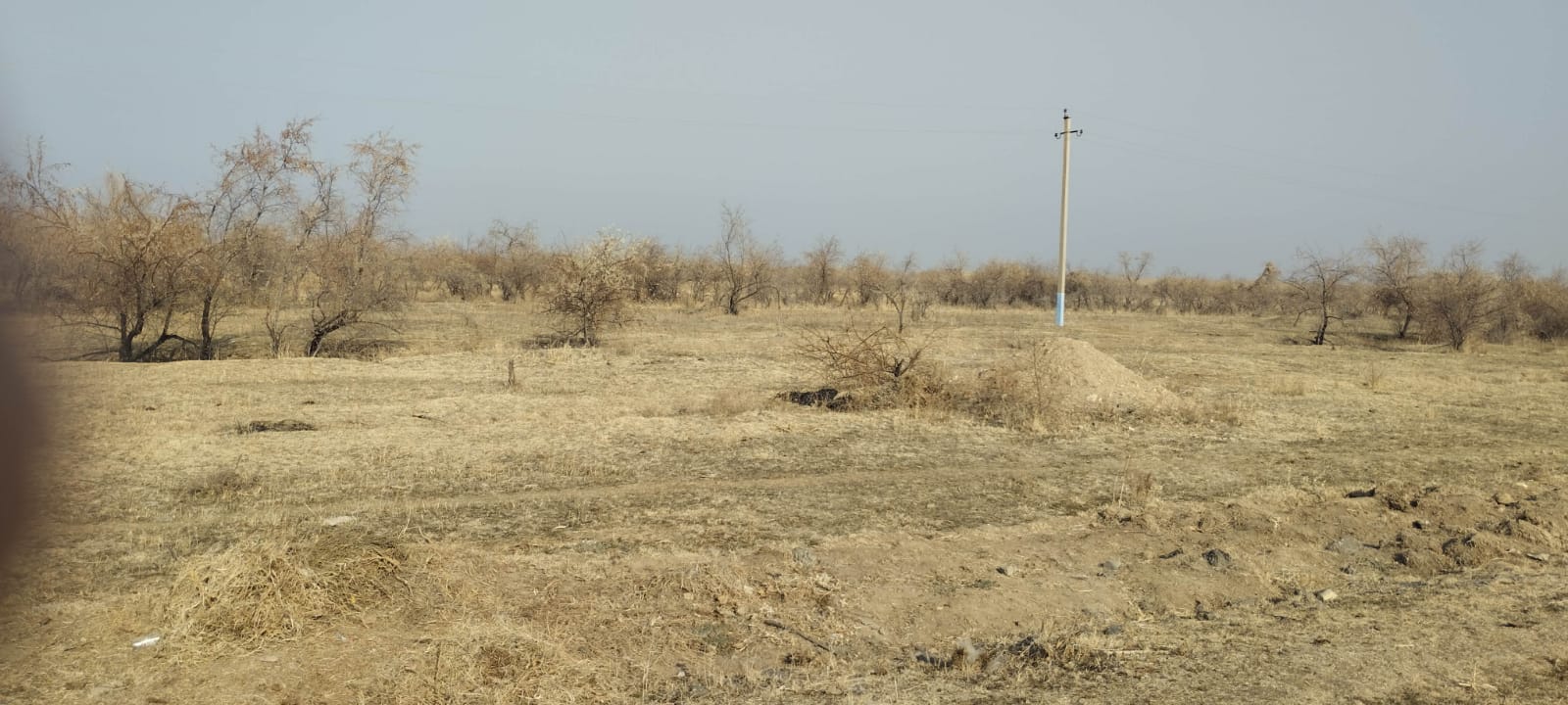img-1