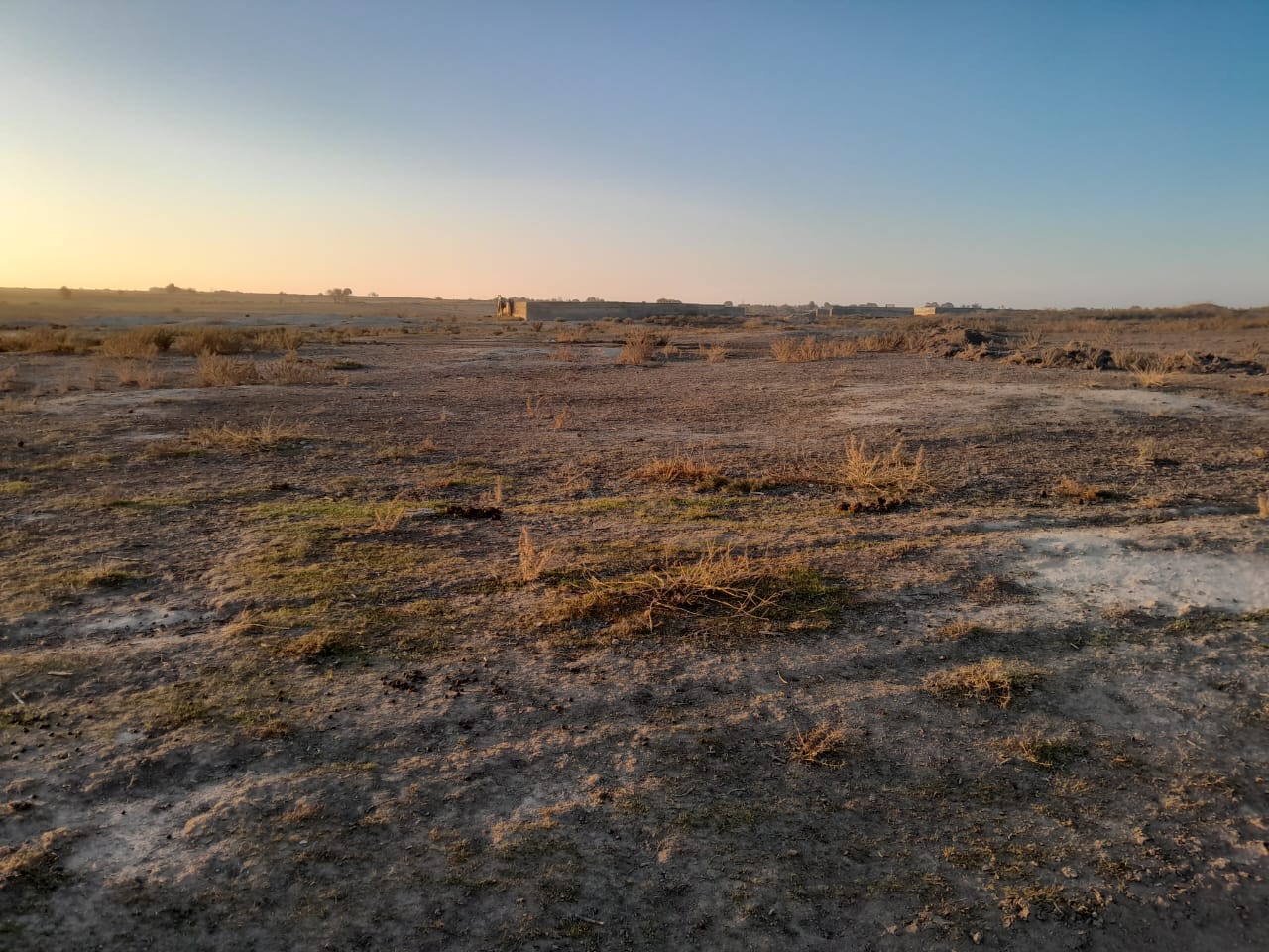 img-2
