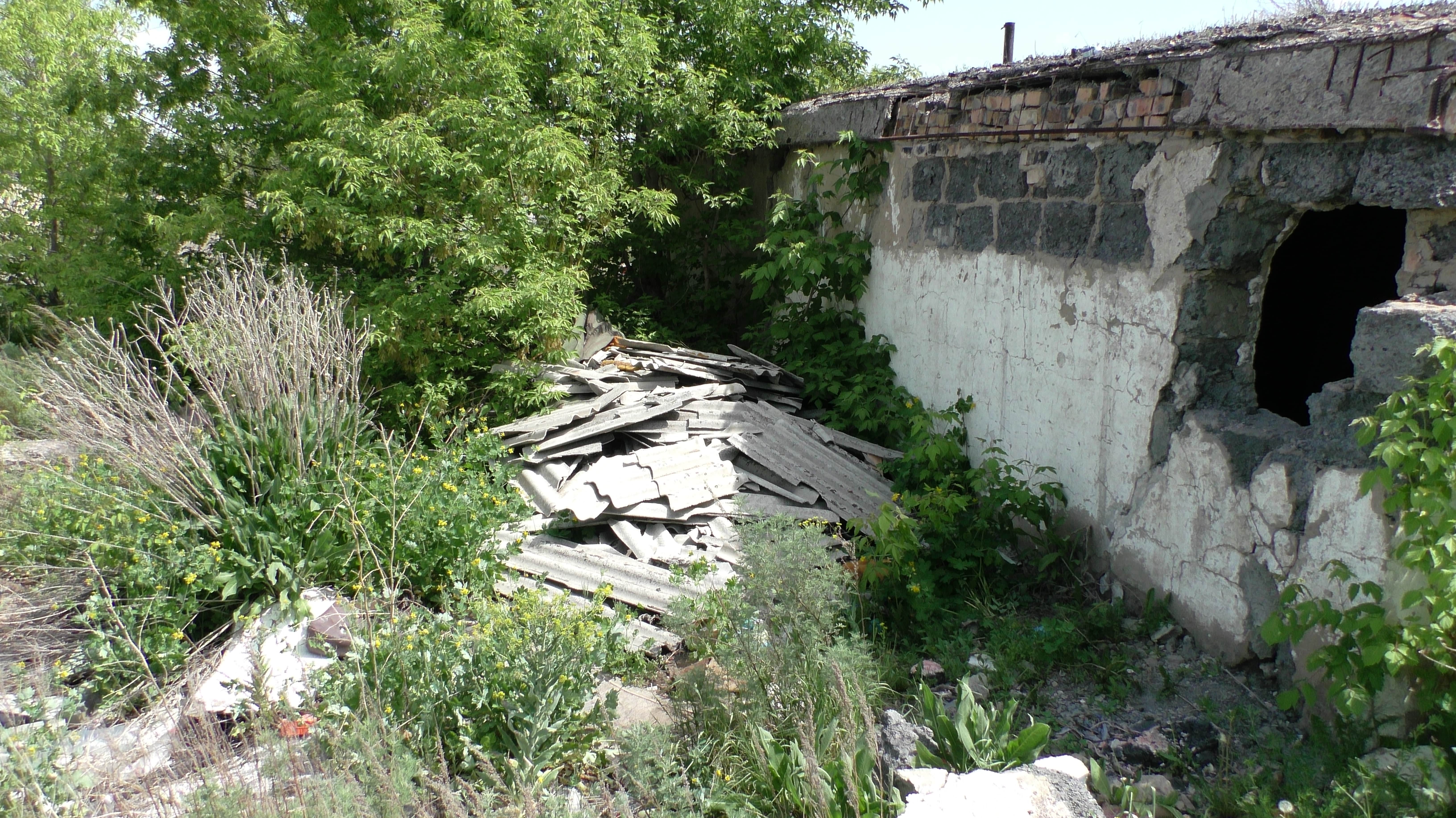 img-1