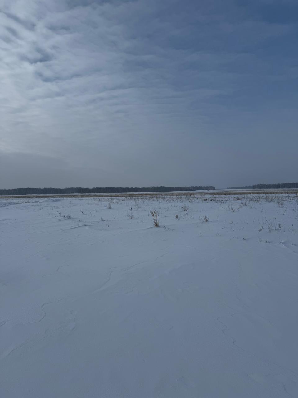 img-7