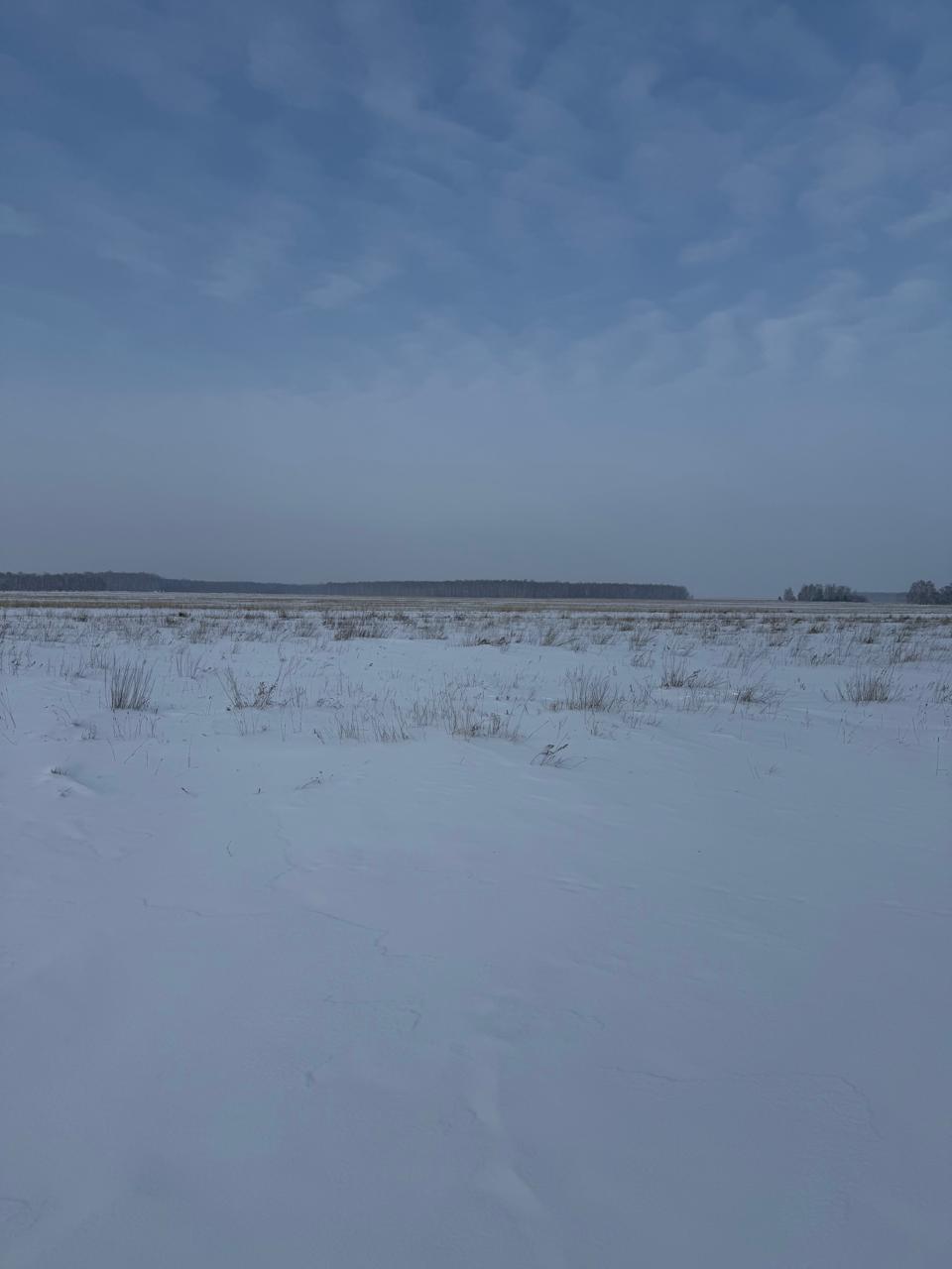 img-6
