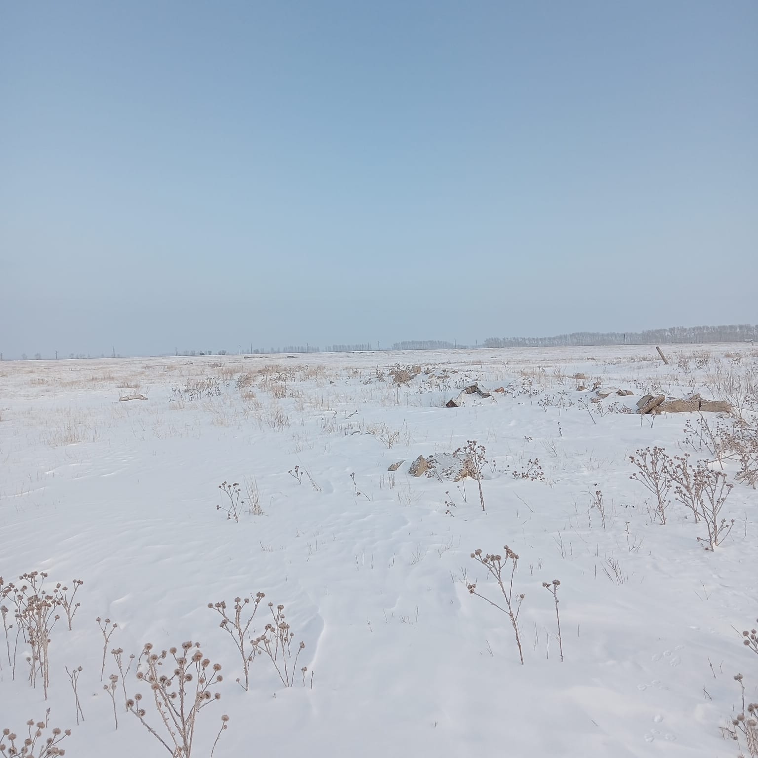 img-3