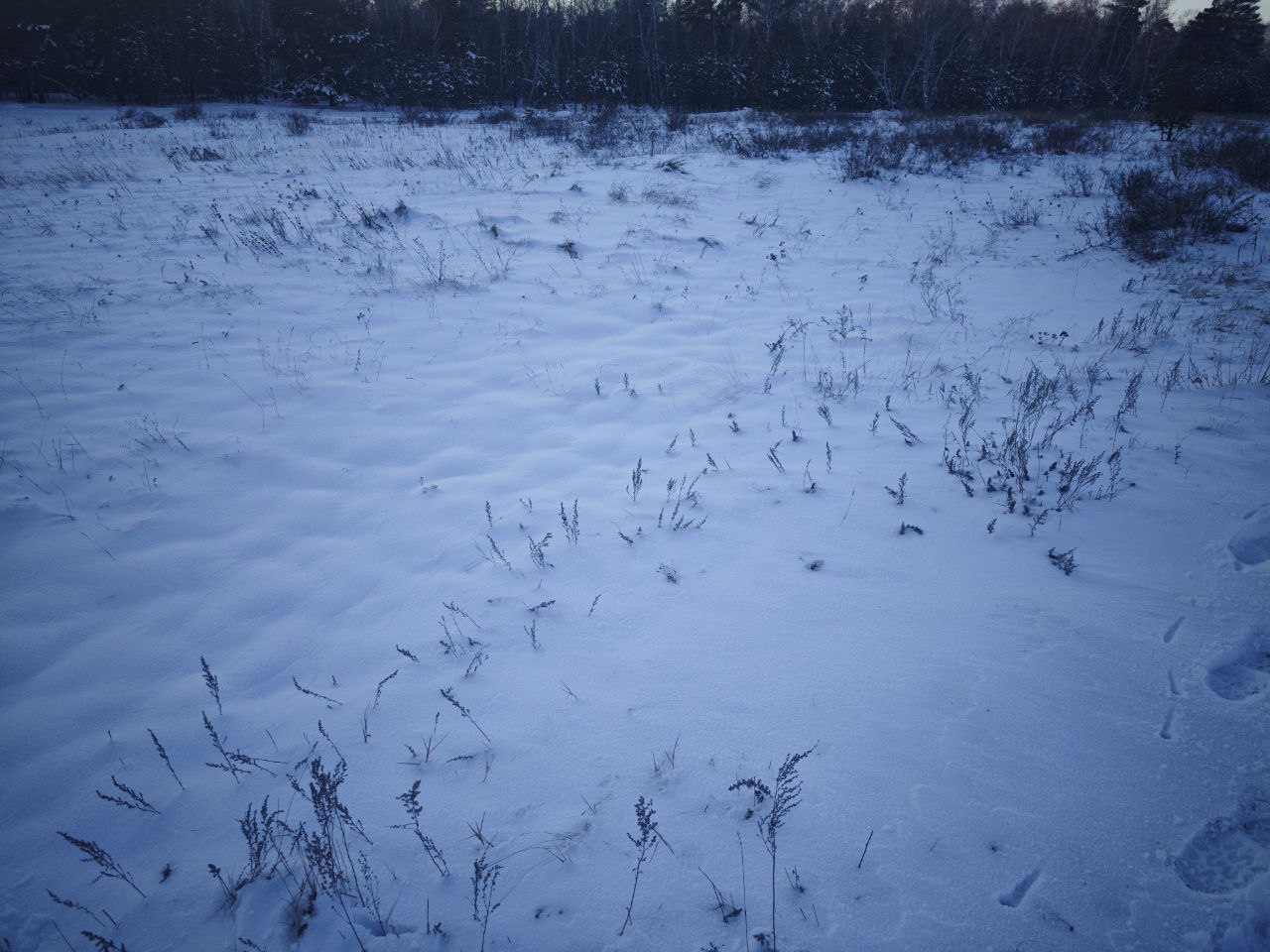 img-4