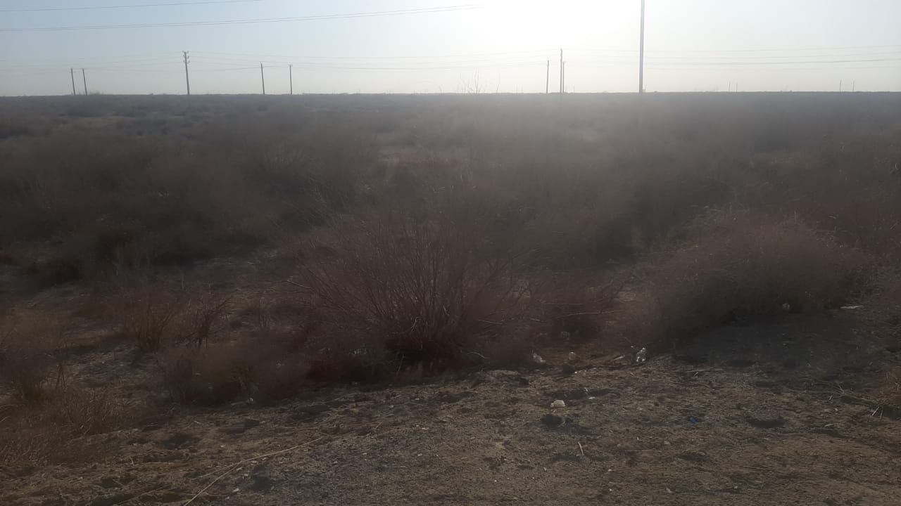 img-2