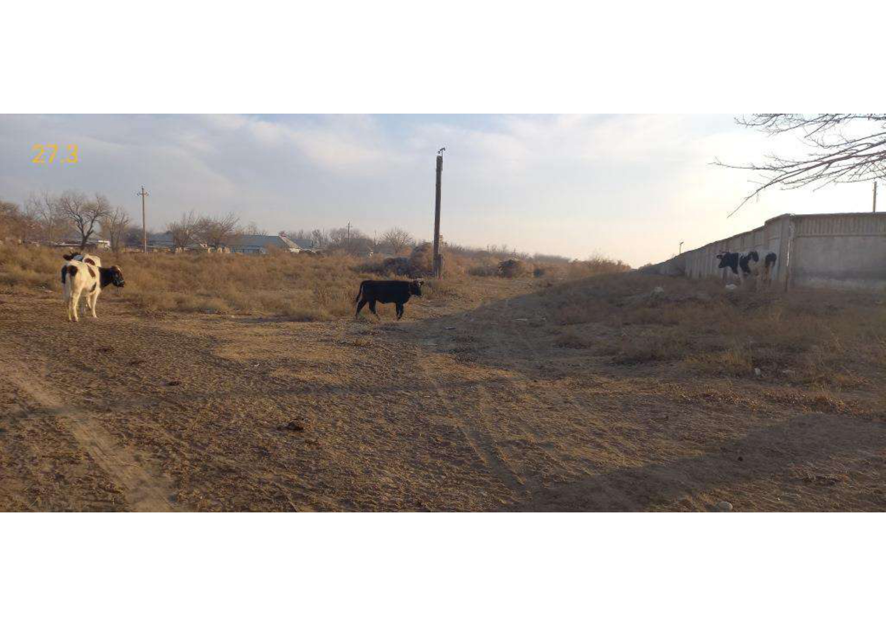 img-0