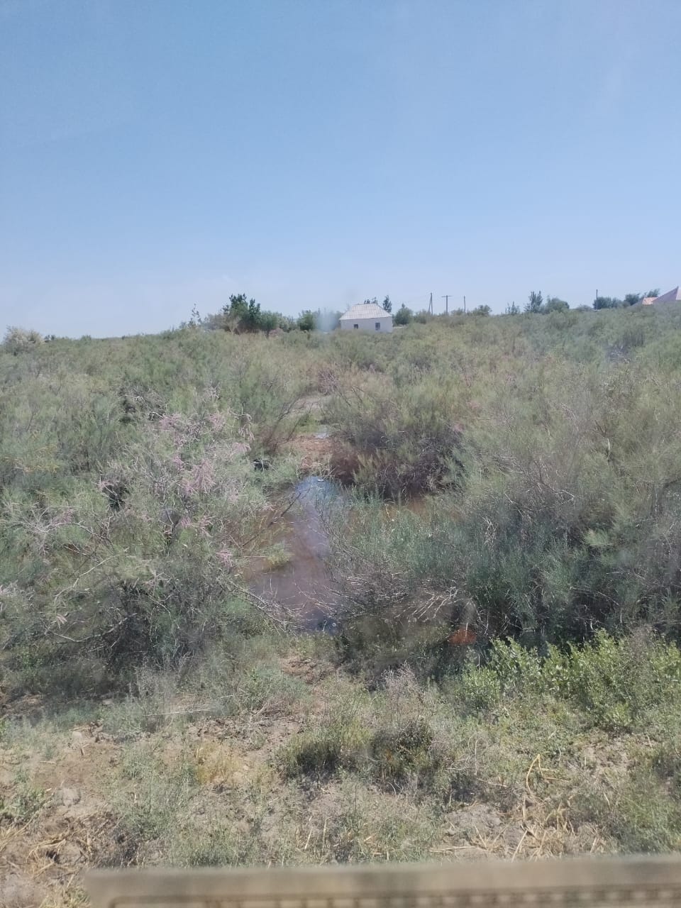 img-2