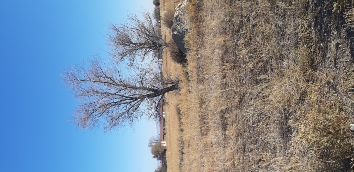 img-3