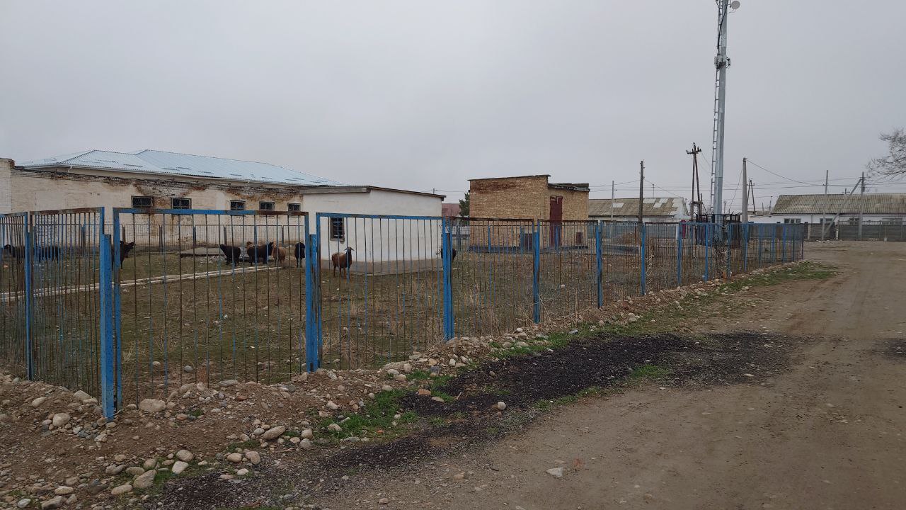 img-5