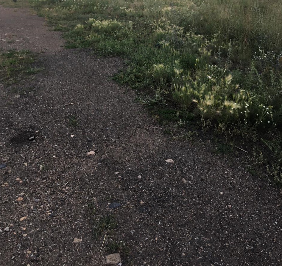 img-1