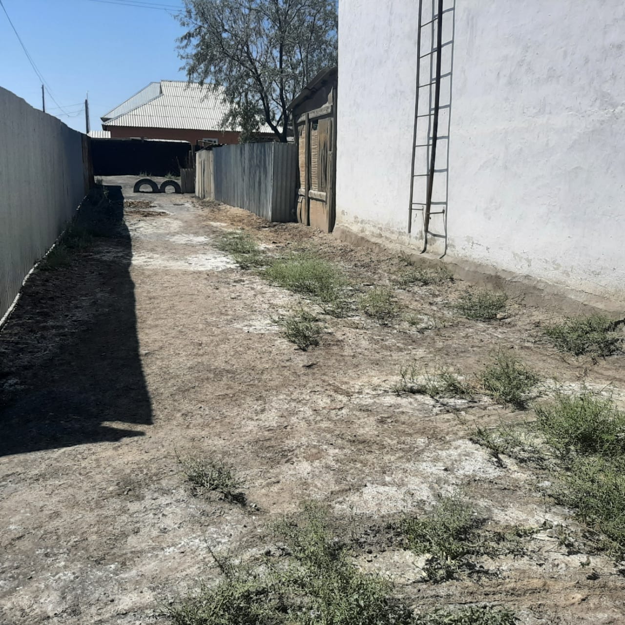 img-1