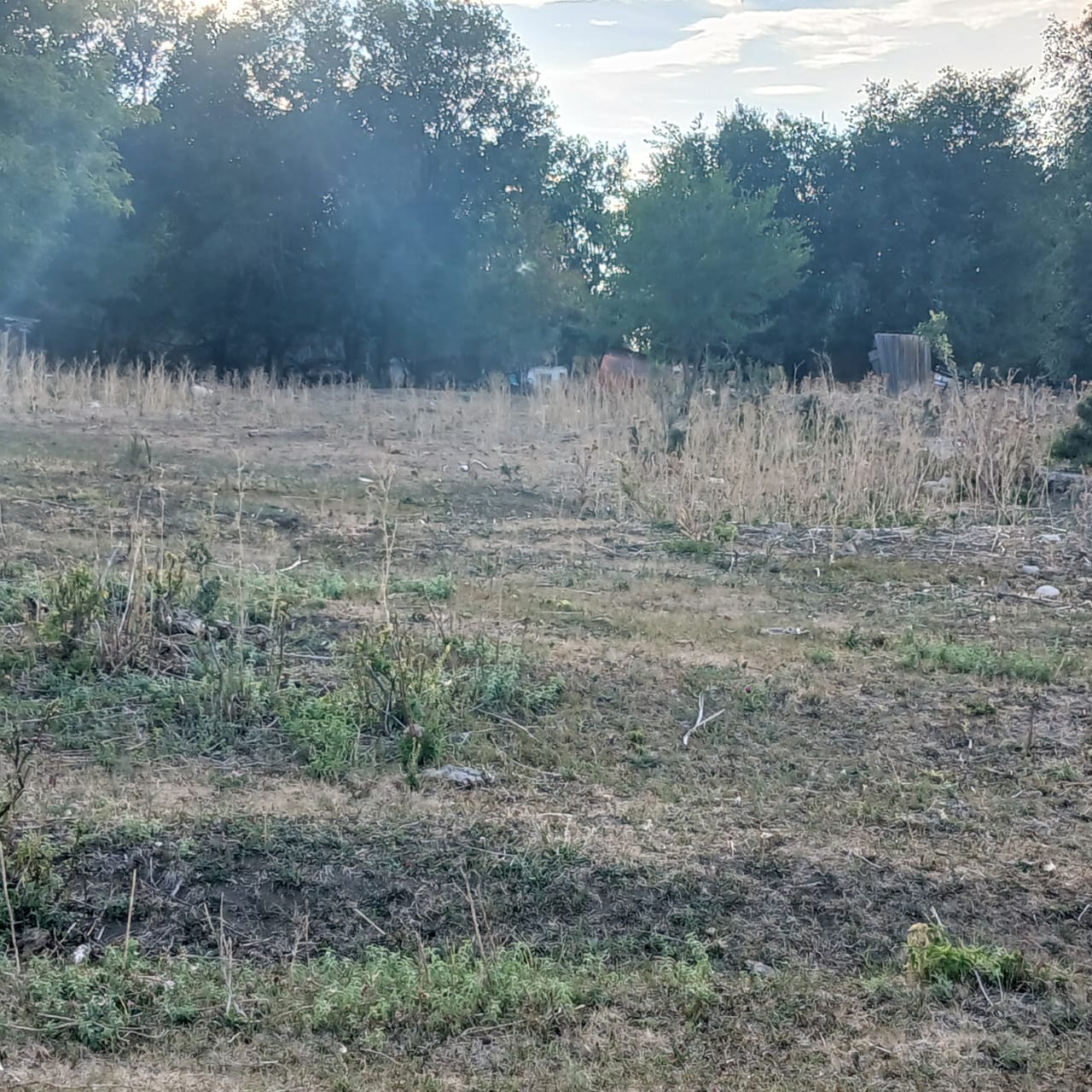 img-3